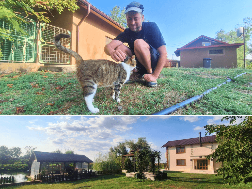 guest house pensiunea Souvenir Isaccea Romania Danube River cat sanctuary travel Tulcea Black Sea