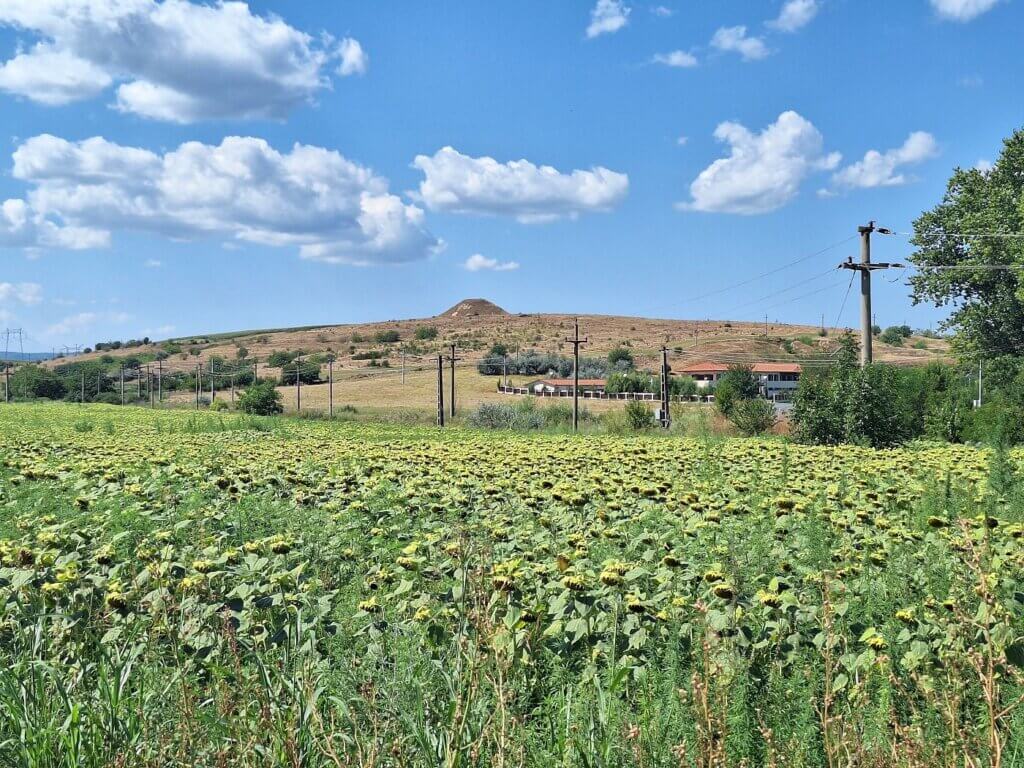 diziz tepe dealul Isaccea hill in Tulcea county Romania sunflower fields Danube River Roman ruins