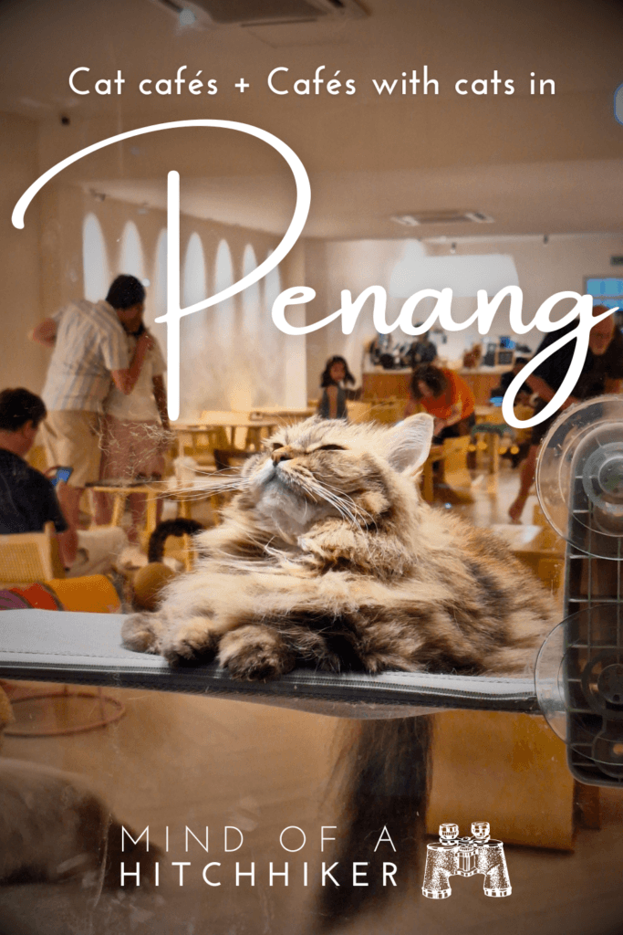pin cat cafés in Penang Malaysia George Town