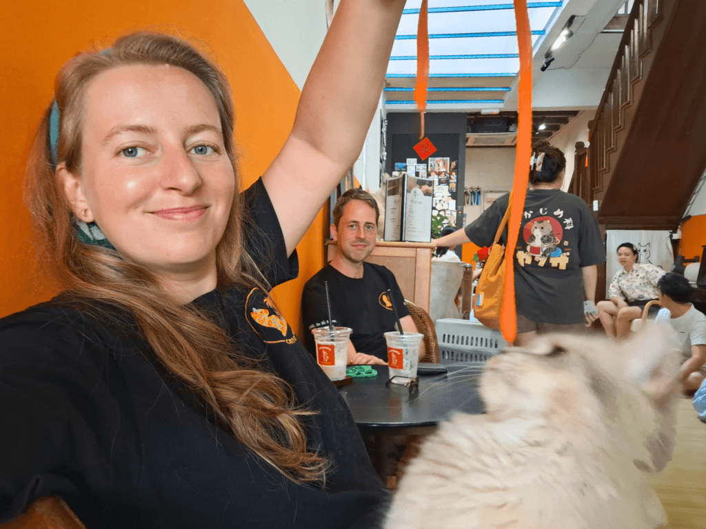 Cats of Penang weekly meetup Iris Veldwijk and 3005 the cat playtime catonomy catsoterra