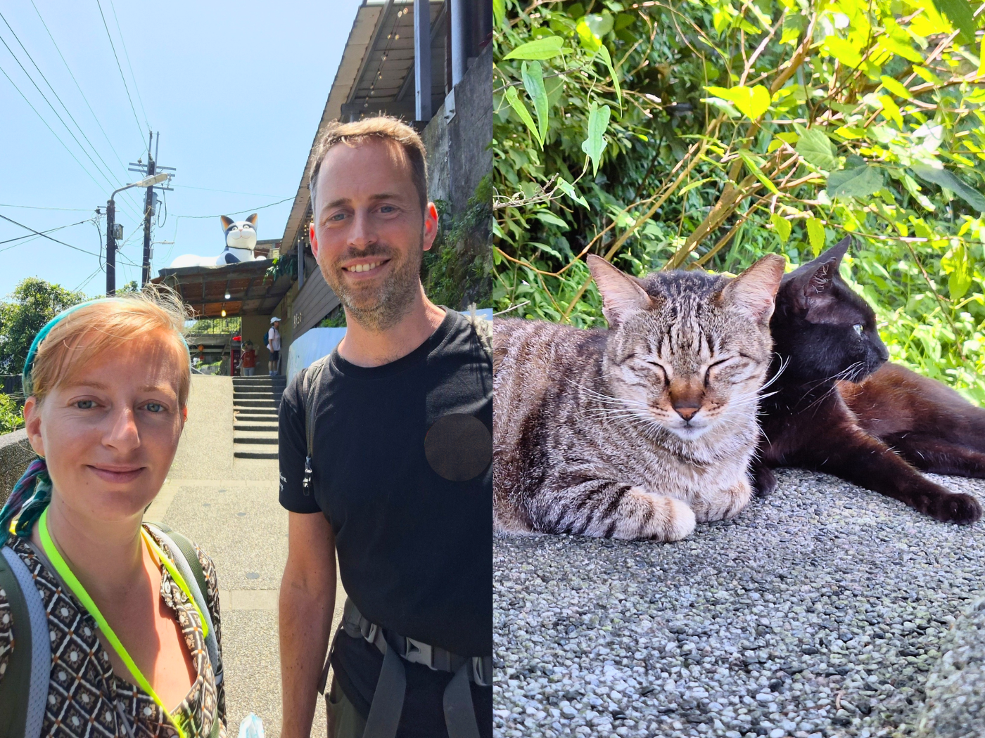 Houtong Cat Village day trip from Taipei Taiwan feline cats featured photo