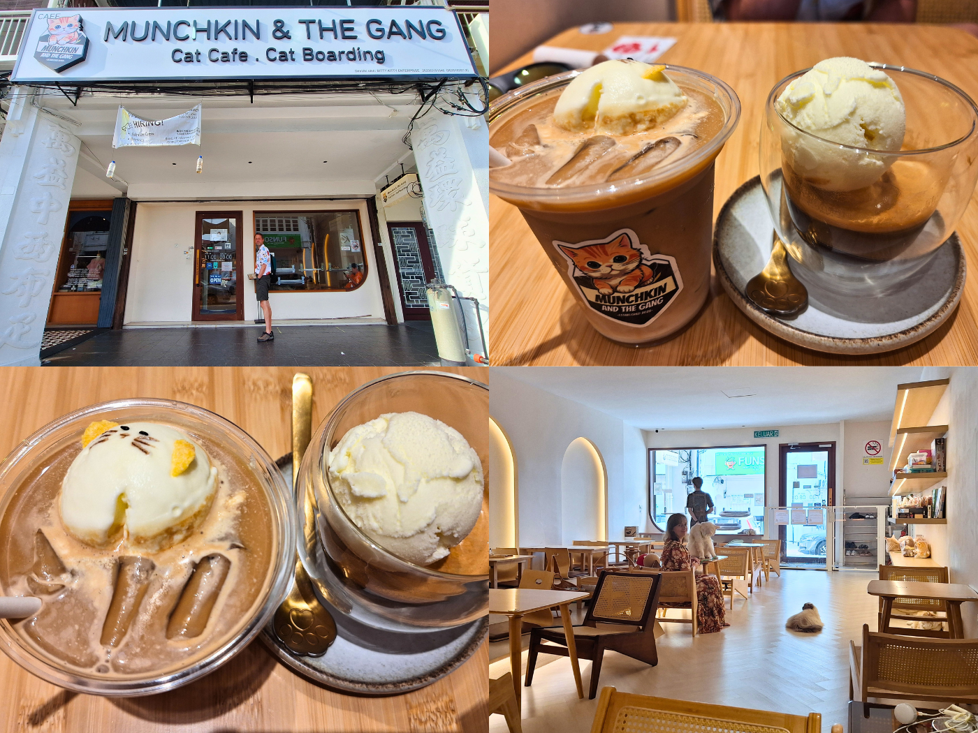 Munchkin and the Gang cat café Penang affogato and cat smoothie vibe interior