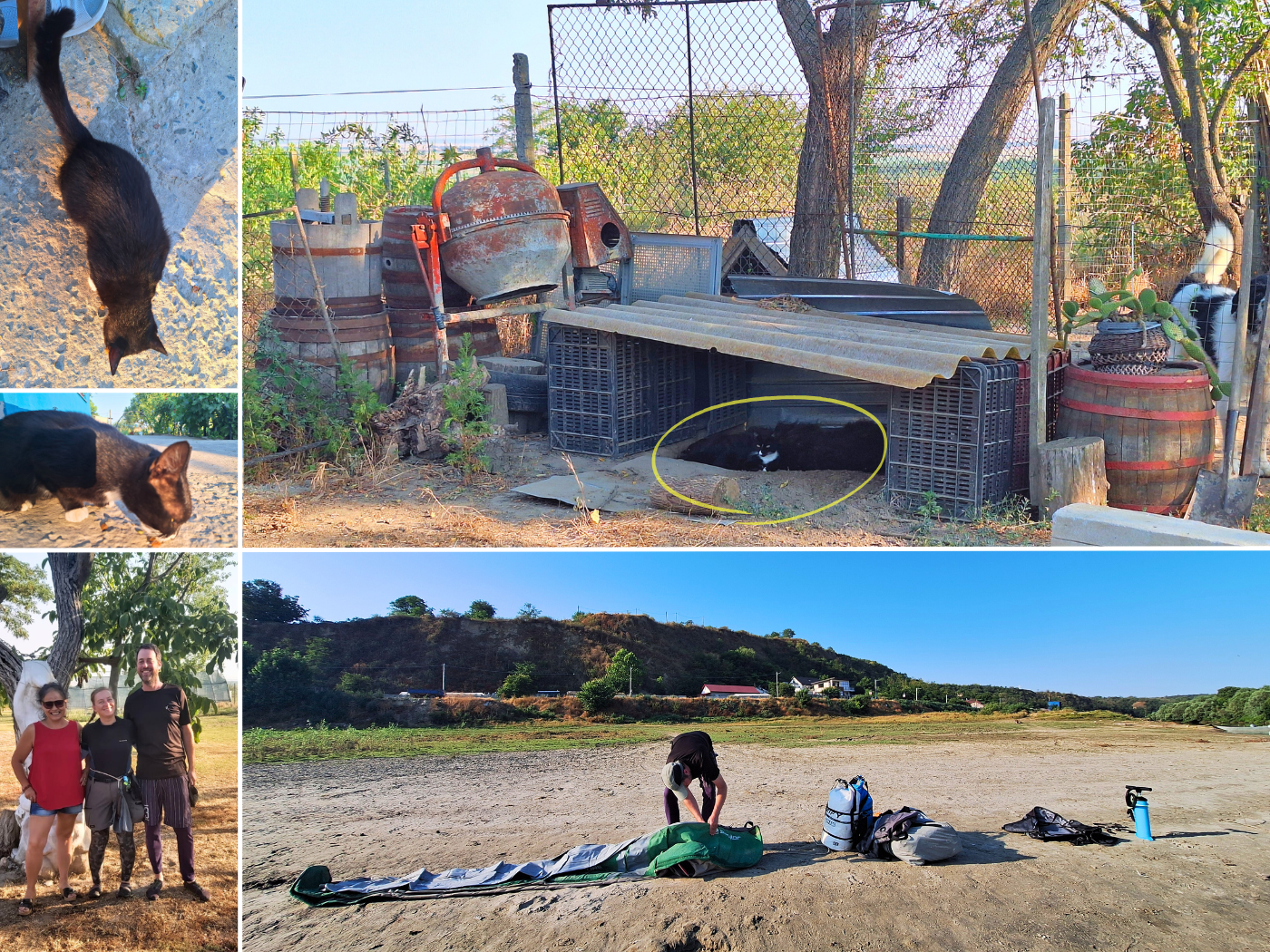 kayak trip day 79 launch spot Romania Danube Cycle Rasova homestay Airbnb accommodation for Donauradweg travelers cats cat hostess Mimi