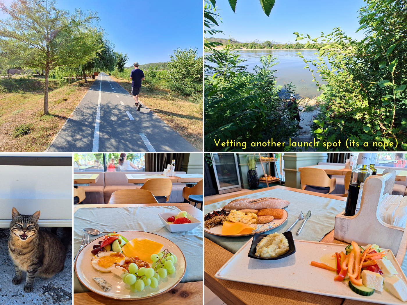 Cernavoda breakfast walk exploring the Danube Black Sea Canal stray cat launch spots hotel Imperio